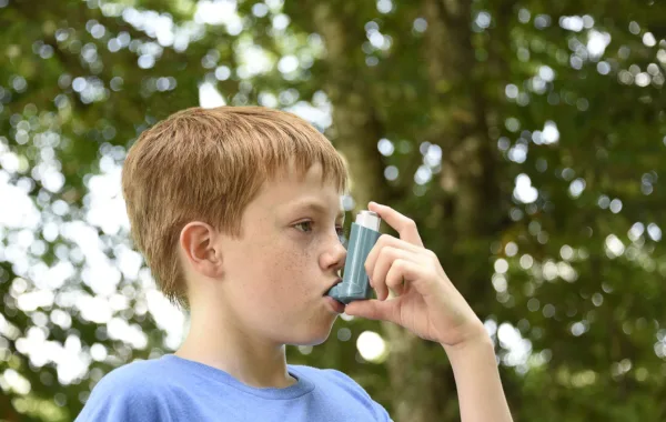 Better Medical Asthma bushfires